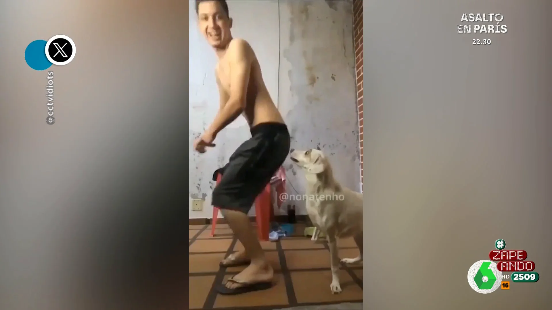 La inesperada reacción de un perro cuando su dueño baila reggaetón frente a él