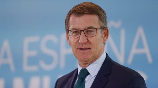 El presidente del Partido Popular, Alberto Núñez Feijóo hace el balance del año 2023 del PP, este jueves en Madrid. El presidente del Partido Popular, Alberto Núñez Feijóo hace el balance del año 2023 del PP, este jueves en Madrid.