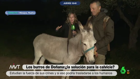 El mensaje del dueño del burro que 'solucionará' la calvicie: "Ya no vayan a Turquía, vengan a Doñana" El mensaje del dueño del burro que 'solucionará' la calvicie: "Ya no vayan a Turquía, vengan a Doñana"
