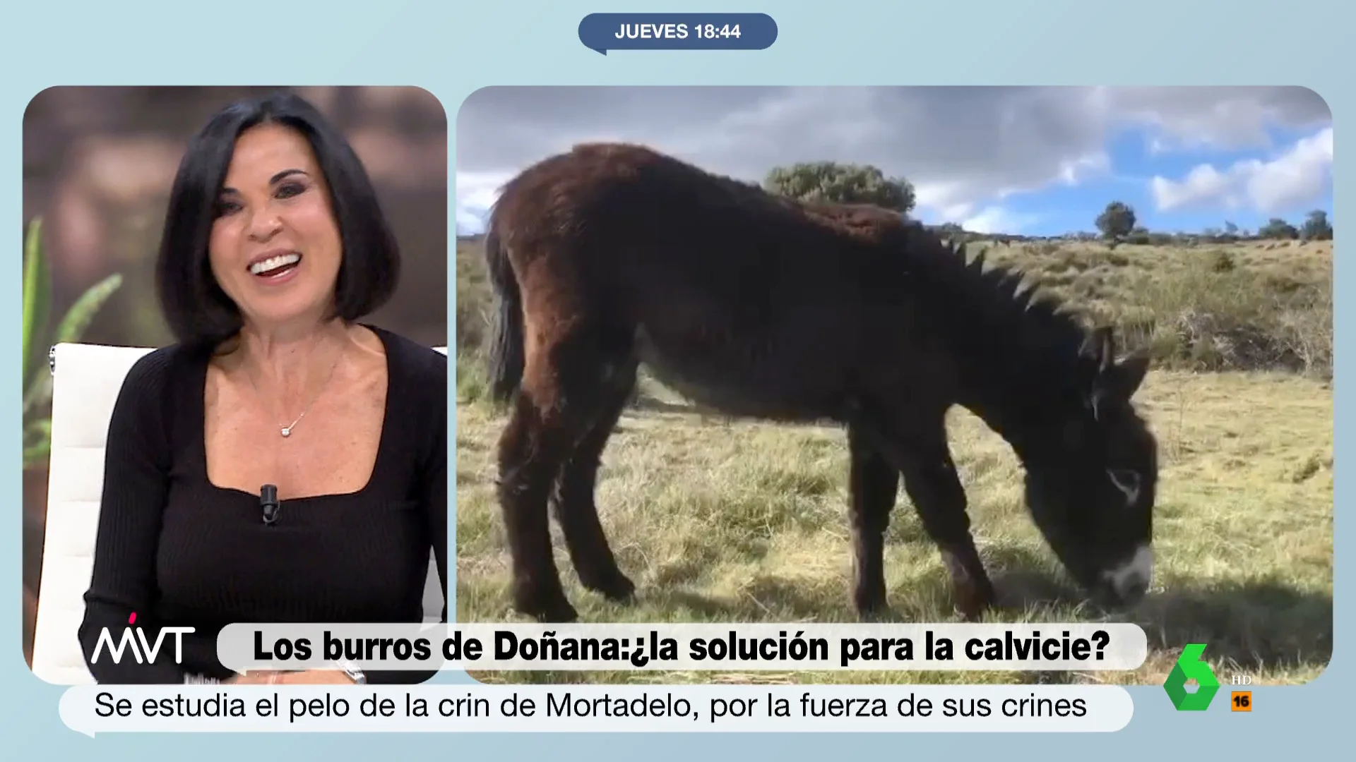 Bea de Vicente, emocionada al ver a sus burros: "¡Mi pequeño Winter! ¡Mira que carita!"