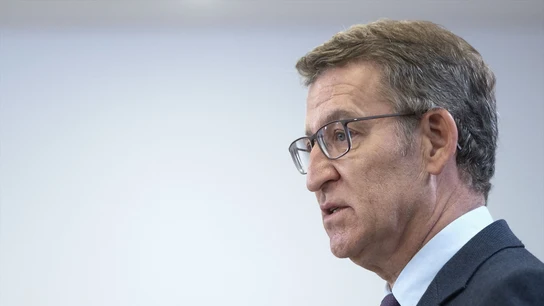 El líder del PP, Alberto Núñez Feijóo. El líder del PP, Alberto Núñez Feijóo.