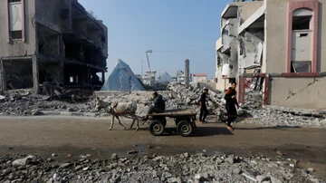 Un burro que tira de un carro pasa por los escombros de una casa destruida por un ataque israelí, en medio del conflicto en curso entre Israel y el grupo islamista palestino Hamas, en Rafah, al sur de la Franja de Gaza, el 1 de enero de 2024. 