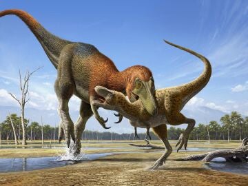 Ilustración artística de Nanotyrannus atacando a un ejemplar juvenil de T. rex