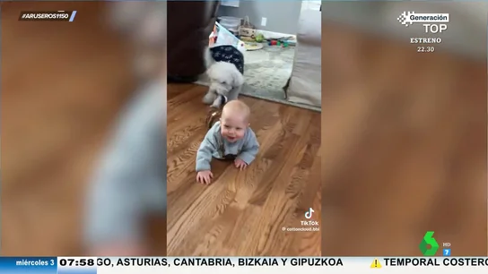 Un bebé se parte de la risa cuando su perro se lo lleva para que juegue con él y sus peluches Un bebé se parte de la risa cuando su perro se lo lleva para que juegue con él y sus peluches