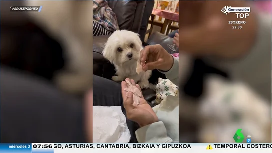 El viral en el que un hombre renuncia a comerse las uvas para que su perro celebre las Campanadas El viral en el que un hombre renuncia a comerse las uvas para que su perro celebre las Campanadas
