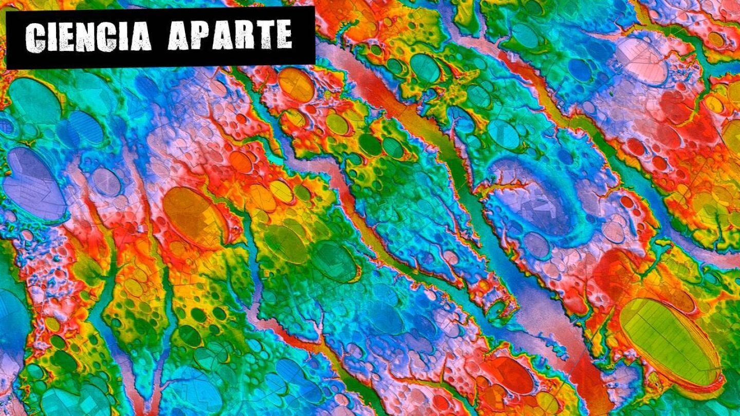 Gracias a la ciencia 2024 ser&aacute; un a&ntilde;o magn&iacute;fico, a pesar de todo