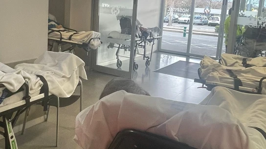 Imagen del "colapso" de las urgencias sanitarias en Logroño. Imagen del "colapso" de las urgencias sanitarias en Logroño.