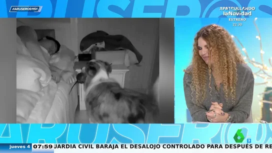 El tremendo susto de un hombre cuando su perro le lleva una sorpresa como regalo en plena noche El tremendo susto de un hombre cuando su perro le lleva una sorpresa como regalo en plena noche