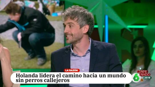 El veterinario Víctor Algra explica cómo Holanda ha conseguido que haya perros callejeros El veterinario Víctor Algra explica cómo Holanda ha conseguido que haya perros callejeros