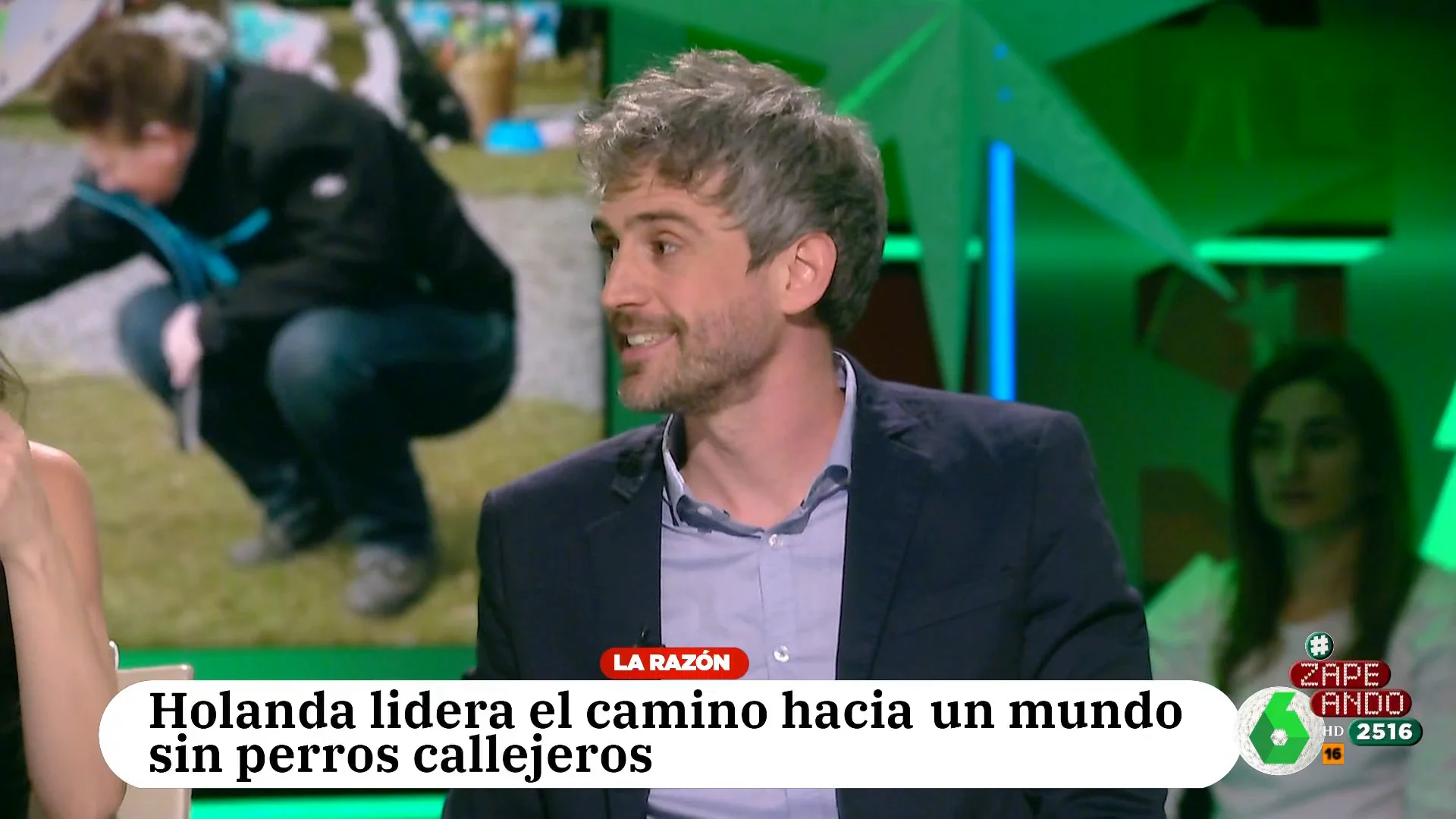 El veterinario Víctor Algra explica cómo Holanda ha conseguido que haya perros callejeros