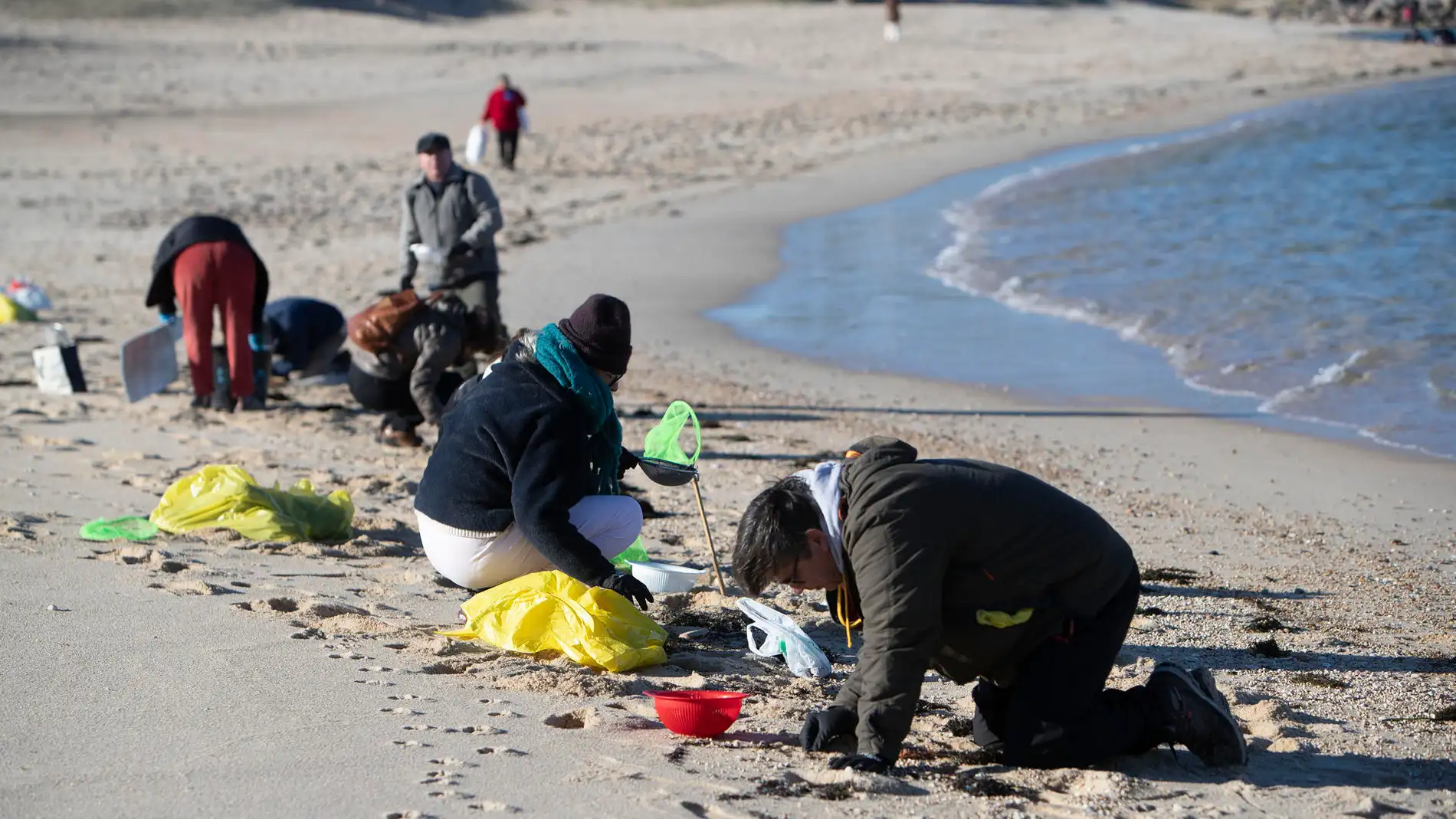 voluntarios recogiendo pellets en las playas