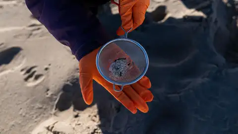 Pellets aparecidos en una playa de A Coruña