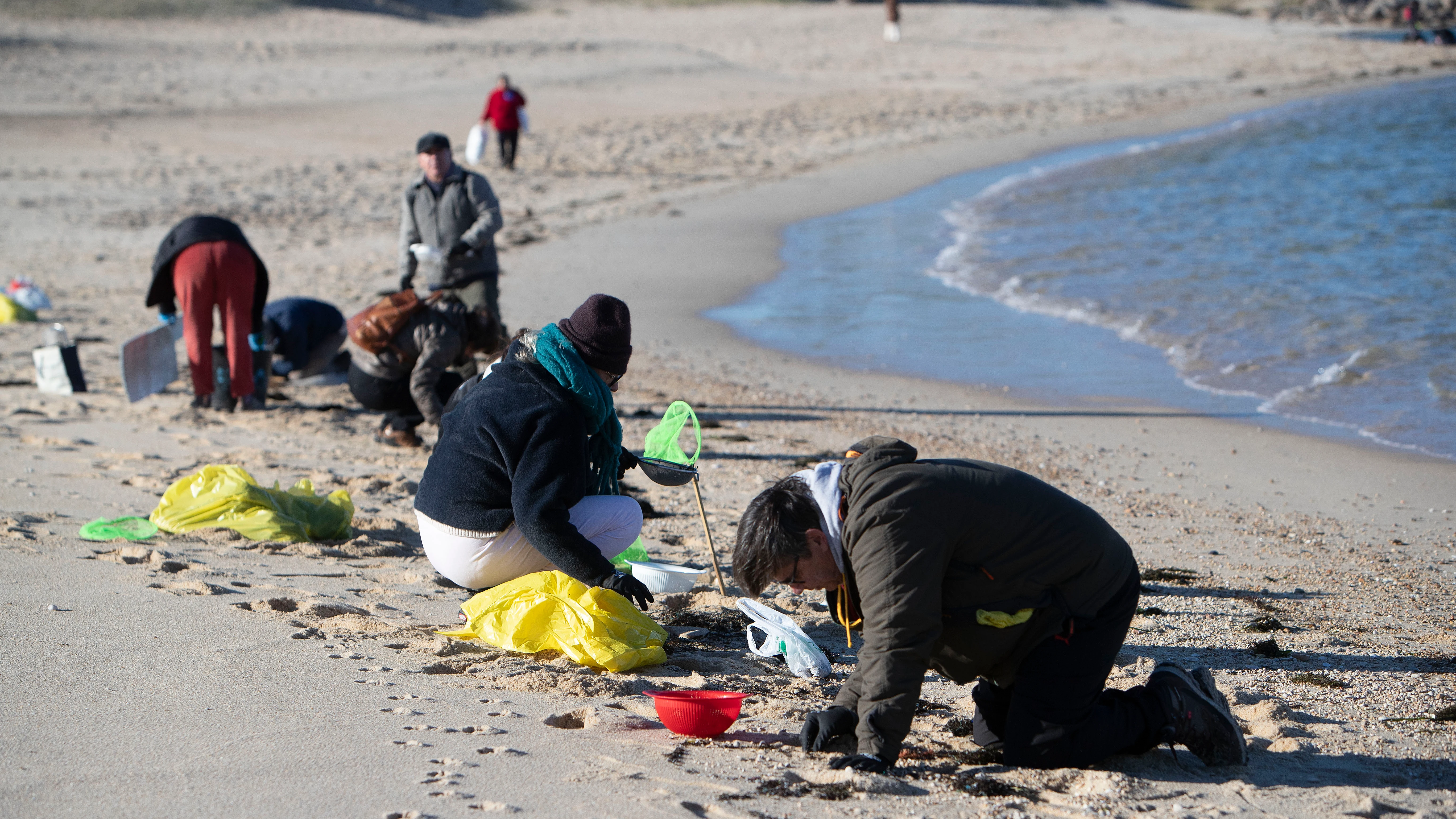 Voluntarios recogen microeplásticos o pellets, que han aparecido en toda la costa atlántica de Galicia, este domingo en la Playa de A Lanzada en O Grove. 