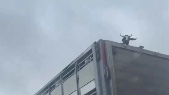 Captura del vídeo viralizado en redes. Captura del vídeo viralizado en redes.