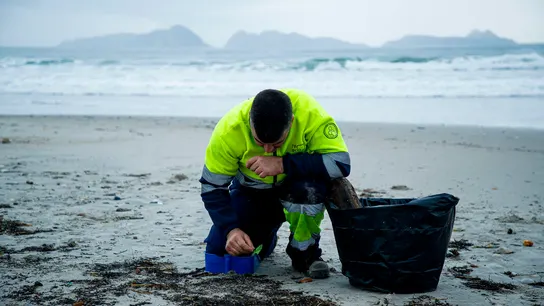 Un hombre recoge los pellets de plástico acumulados en la playa de Patos, en Nigrán, A Coruña. Un hombre recoge los pellets de plástico acumulados en la playa de Patos, en Nigrán, A Coruña.