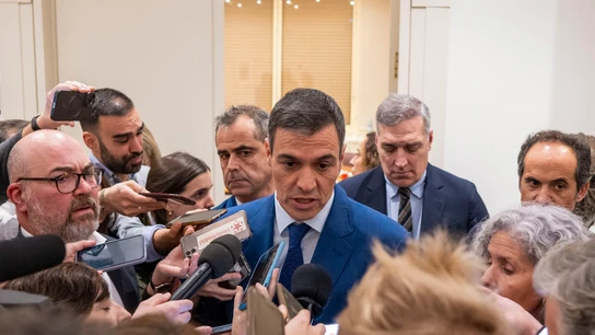 El presidente del Gobierno, Pedro Sánchez. El presidente del Gobierno, Pedro Sánchez.