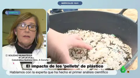 Soledad Muniategui, catedrática de Química en la Universidad de A Coruña, comparte en Más Vale Tarde las conclusiones de su análisis alternativo sobre la composición de los pellets de plástico y explica cómo reacciona en su contacto con el agua.