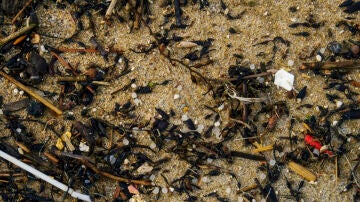 Pellets plásticos cubren la playa del Vilar en la parroquia de Covas de Ferrol, en costa gallega