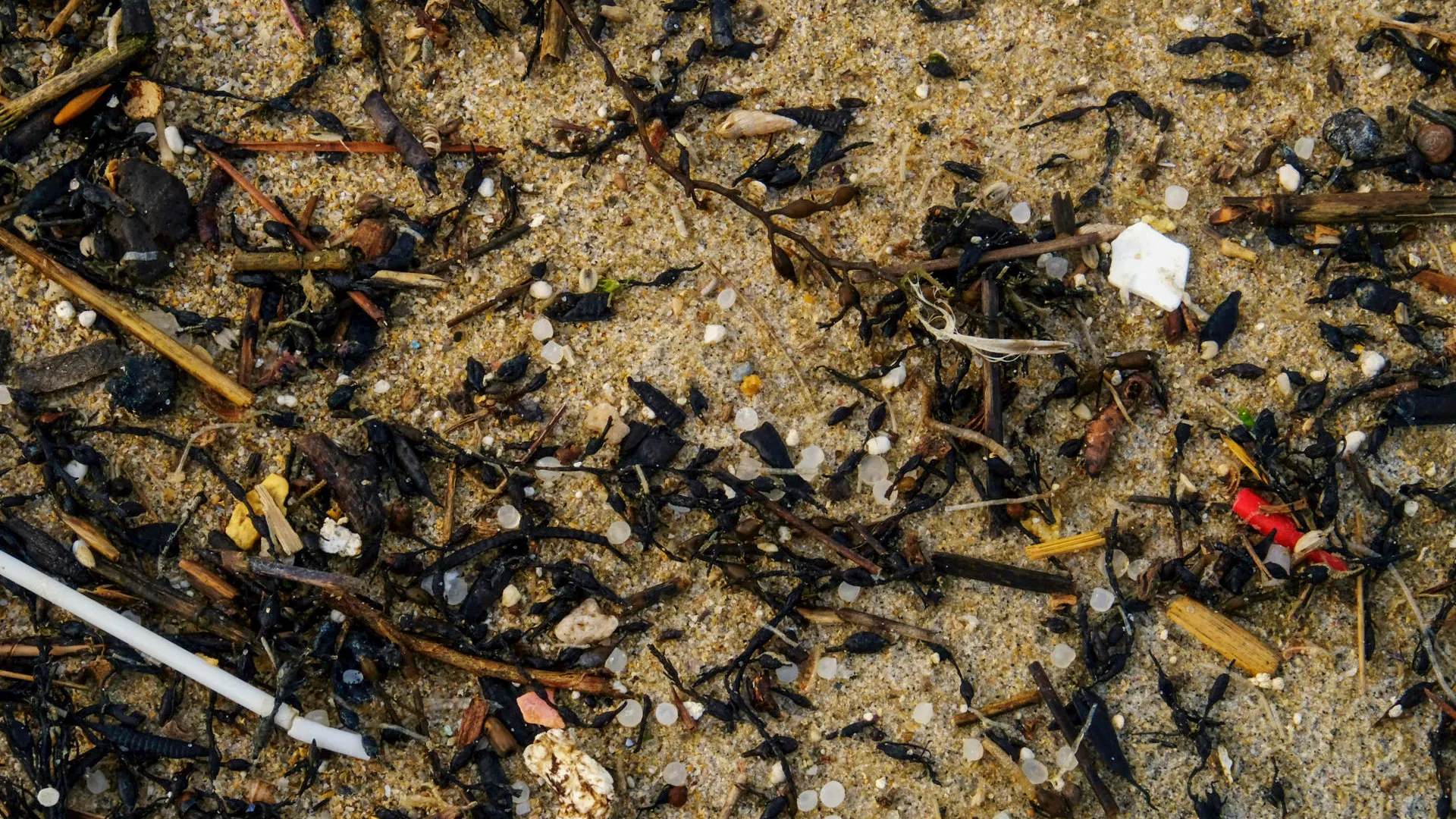 Pellets plásticos cubren la playa del Vilar en la parroquia de Covas de Ferrol, en costa gallega