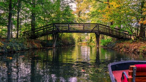 Bosque del Spree