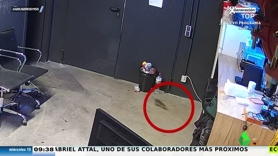Una rata se cuela en el plató de Aruser@s y hacer "perder la compostura" a Alfonso Arús Una rata se cuela en el plató de Aruser@s y hacer "perder la compostura" a Alfonso Arús