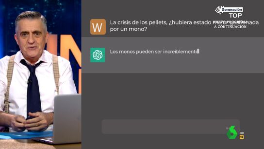 "&iquest;Es mejor recoger los pellets o discutir sobre qui&eacute;n tiene que recogerlos?" o "&iquest;Se puede hacer nudismo en una playa con pellets?" son otras de las preguntas que Wyoming plantea a la inteligencia artificial. Sus respuestas, en este v&iacute;deo.