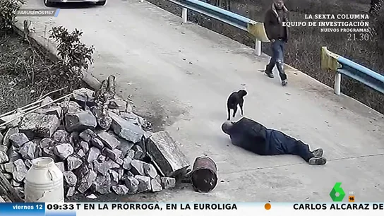 Un perro salva la vida de su dueño anciano parando la circulación y guiando a un conductor para que lo auxilie Un perro salva la vida de su dueño anciano parando la circulación y guiando a un conductor para que lo auxilie