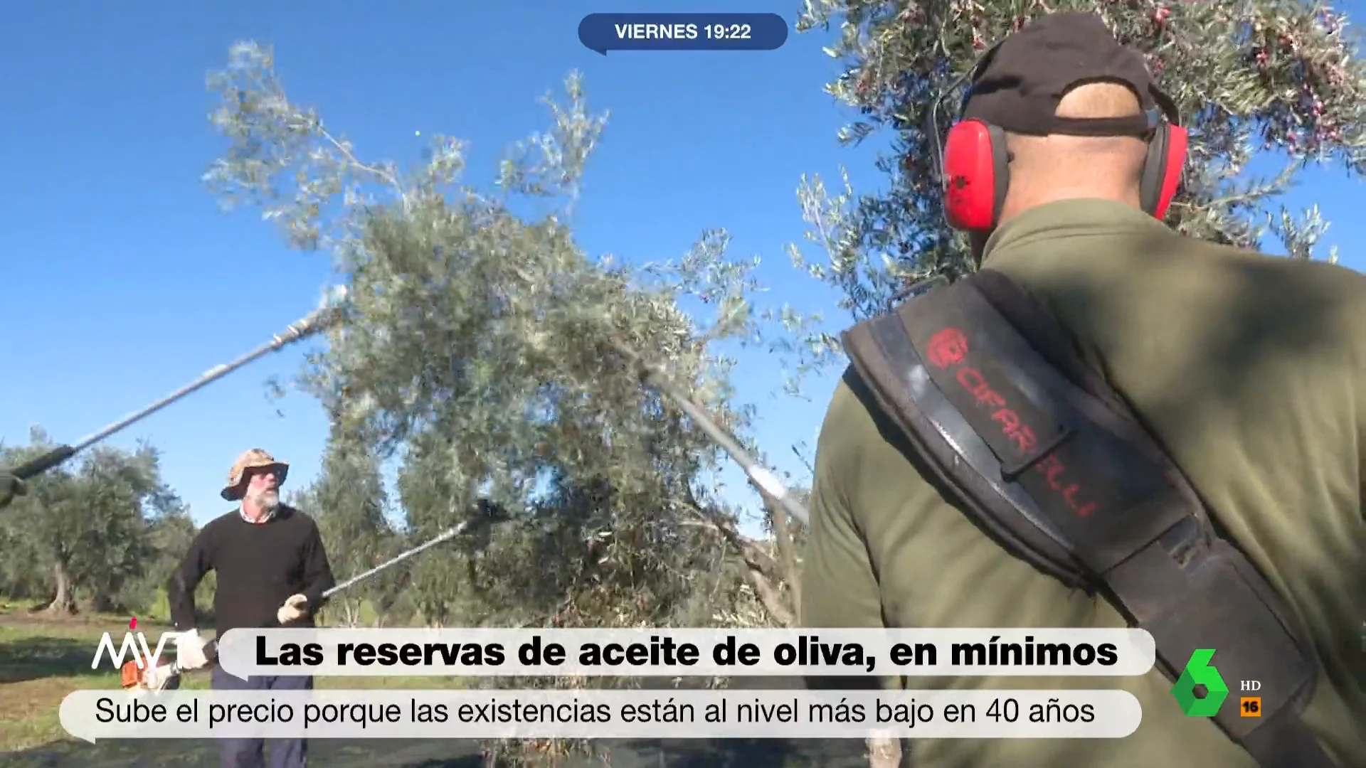 Los expertos advierten que por primera vez en la historia es posible que no haya stock de aceite de oliva