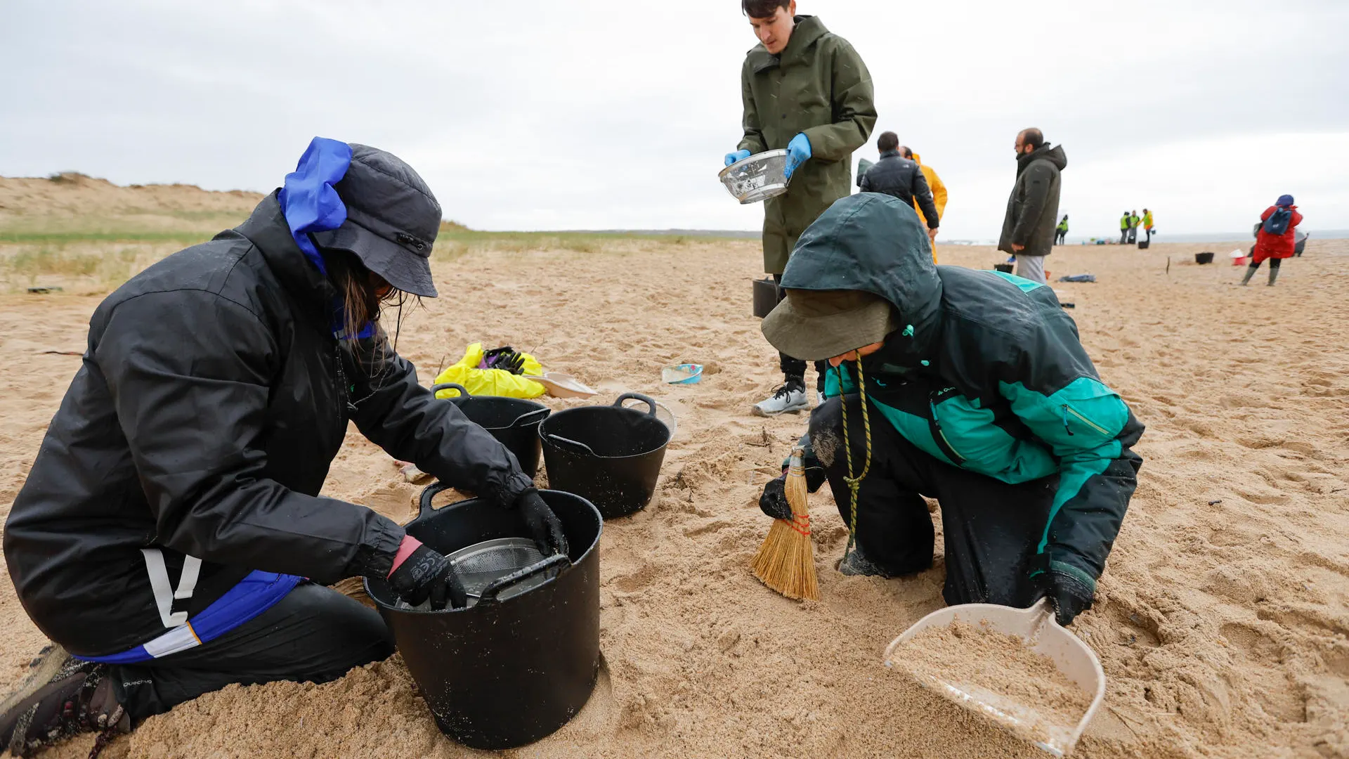 Un grupo de voluntaros convocados por el ayuntamiento, durante las labores de recogida de granza (pellets), este sábado en la playa de Balieiros, en Corrubedo.