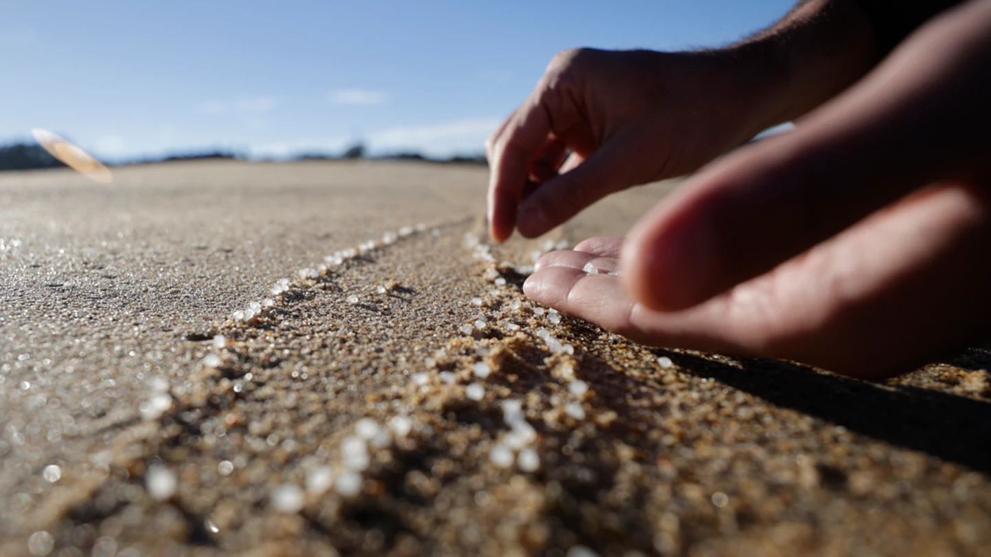 3.500 kilos de pellets de los 26.000 vertidos al mar ya han sido recuperados: así es el día a día en las playas de Galicia 3.500 kilos de pellets de los 26.000 vertidos al mar ya han sido recuperados: así es el día a día en las playas de Galicia