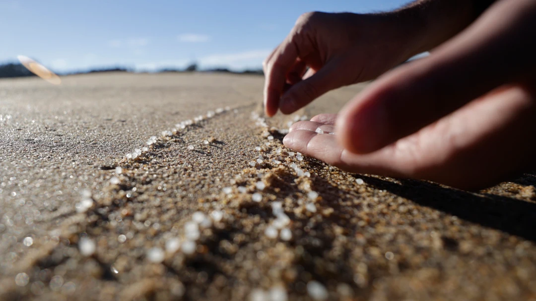 3.500 kilos de pellets de los 26.000 vertidos al mar ya han sido recuperados: así es el día a día en las playas de Galicia