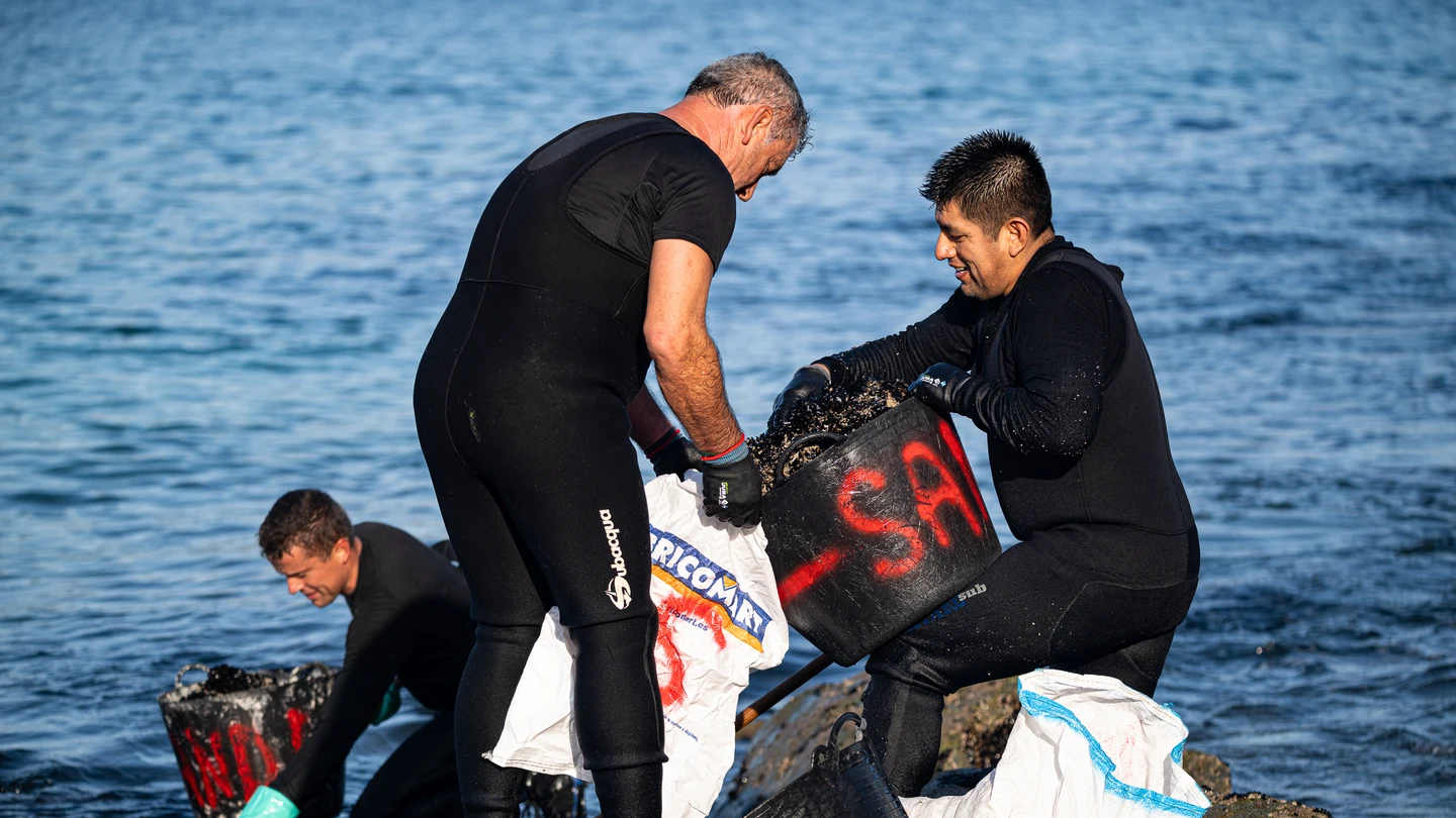 Varios pescadores recogen la cría del mejillón en la costa de Pontevedra, a 1 de diciembre de 2023, en Pontevedra, Galicia (España). Varios pescadores recogen la cría del mejillón en la costa de Pontevedra, a 1 de diciembre de 2023, en Pontevedra, Galicia (España).