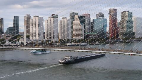 Puentes. Rotterdam