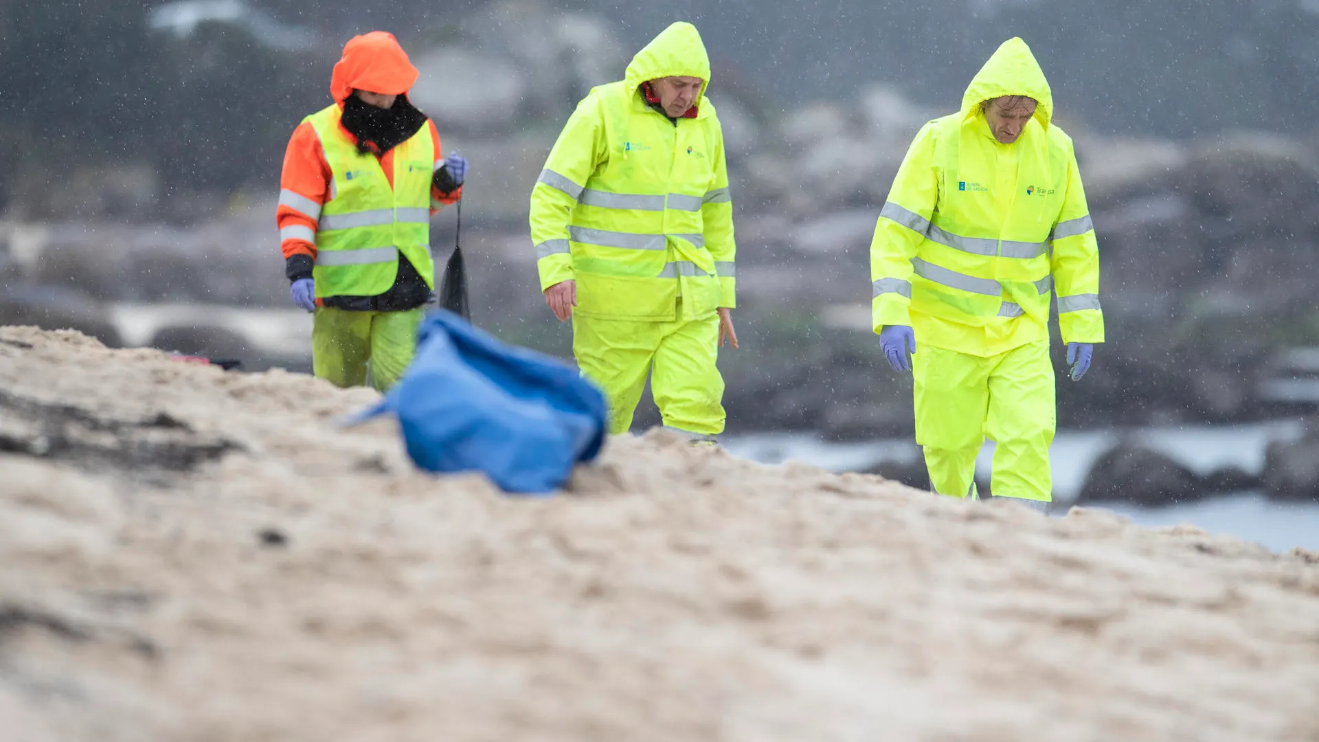 Voluntarios este sábado en la Playa de Ameixoeira en O Grove.