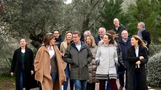 El presidente del Partido Popular, Alberto Núñez Feijó, participa este sábado ante el Comité de Dirección del PP El presidente del Partido Popular, Alberto Núñez Feijó, participa este sábado ante el Comité de Dirección del PP