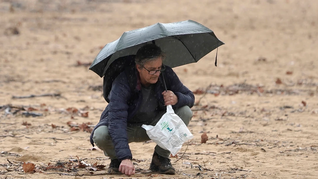 Un hombre recoge pellets bajo la lluvia