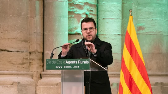 El president de la Generalitat, Pere Aragonès El president de la Generalitat, Pere Aragonès
