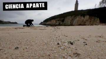 Una persona recoge pellets en la playa de As Lapas, en A Coruña.