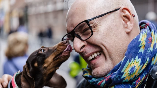Un perro lame a su dueño durante la celebración del día de San Antón, a 17 de enero de 2024, en Madrid (España). Un perro lame a su dueño durante la celebración del día de San Antón, a 17 de enero de 2024, en Madrid (España).
