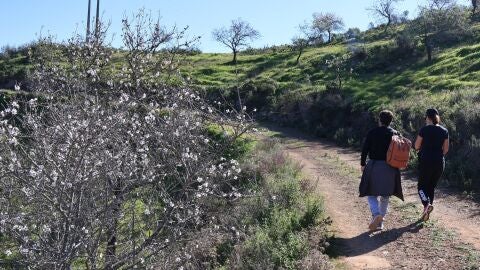 Caminos entre los almendros en flor. Algarve