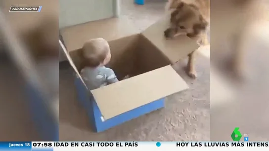 Los divertidos juegos de estos bebés con sus perros: así se de bien se lo pasan con una caja y una linterna Los divertidos juegos de estos bebés con sus perros: así se de bien se lo pasan con una caja y una linterna