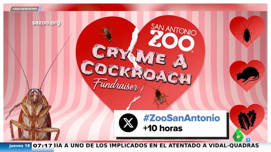 Un zoo de San Antonio te ofrece poner el nombre de tu expareja a una rata o cucaracha que será devorada por otros animales Un zoo de San Antonio te ofrece poner el nombre de tu expareja a una rata o cucaracha que será devorada por otros animales