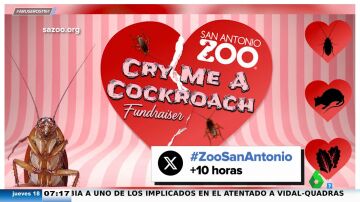 Un zoo de San Antonio te ofrece poner el nombre de tu expareja a una rata o cucaracha que será devorada por otros animales