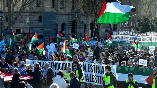 Convocan manifestaciones a favor de Palestina en varias ciudades de España Convocan manifestaciones a favor de Palestina en varias ciudades de España