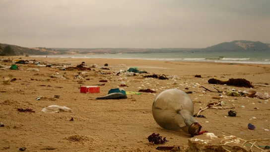 El vertido de pellets deja al descubierto la enorme cantidad de plástico que inunda los océanos El vertido de pellets deja al descubierto la enorme cantidad de plástico que inunda los océanos