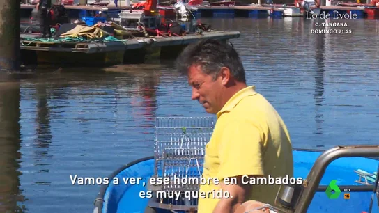 "De ese hombre no quiero hablar nada, es muy querido": así hablaban de Sito Miñanco en Cambados "De ese hombre no quiero hablar nada, es muy querido": así hablaban de Sito Miñanco en Cambados