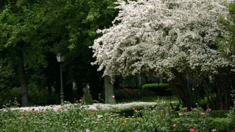 Real Jardín Botánico de Madrid