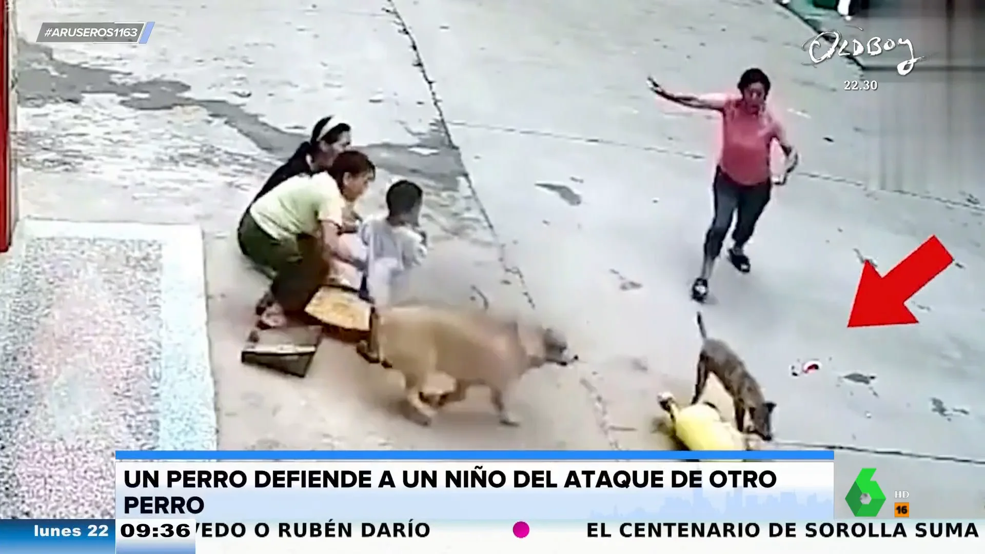 Un perro defiende a un niño del ataque de otro perro: así fue este impactante momento