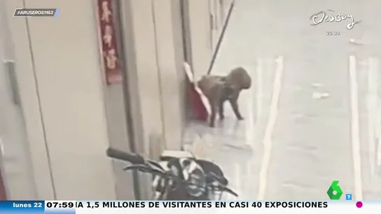 El perro del vecino orina sobre su comida a domicilio: así lo pillan 'in fraganti' las cámaras de seguridad El perro del vecino orina sobre su comida a domicilio: así lo pillan 'in fraganti' las cámaras de seguridad