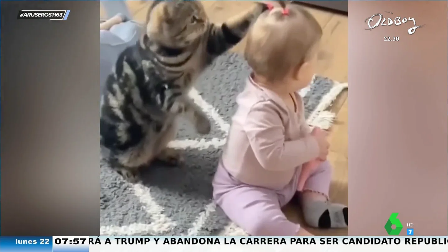 La divertida obsesión de este gato con las coletitas de la bebé La divertida obsesión de este gato con las coletitas de la bebé